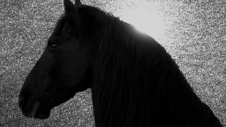 кадр из фильма Absent Now the Dead