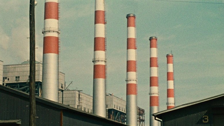 кадр из фильма Вкус сайры