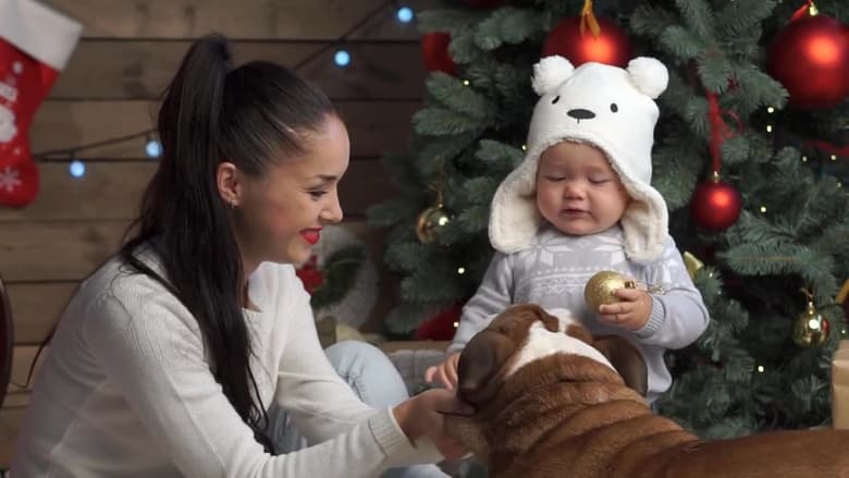 кадр из фильма Pets