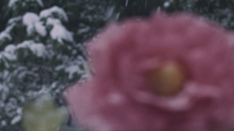 кадр из фильма 愛奴