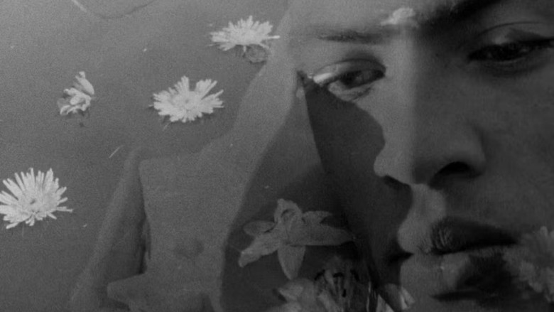 кадр из фильма В поисках Лэнгстона