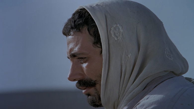 кадр из фильма Тревога