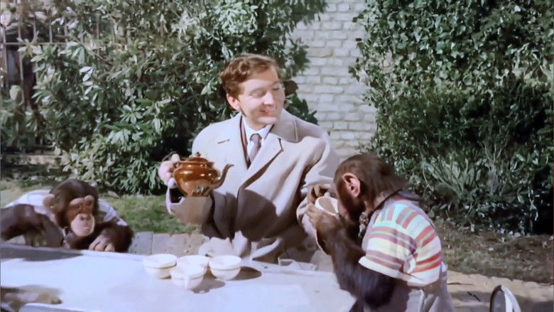 кадр из фильма Так держать, несмотря ни на что!