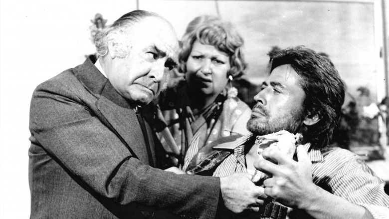 кадр из фильма Deli Şahin