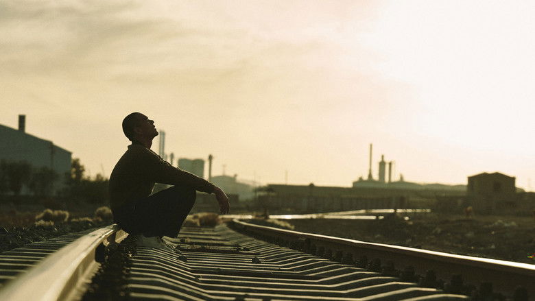 кадр из фильма Чёрный пёс