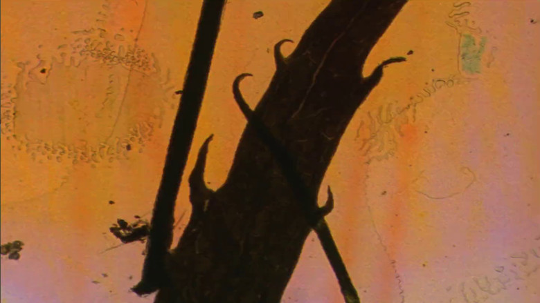 кадр из фильма Exploratorium Film