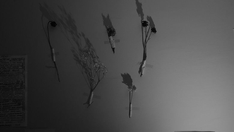 Çürümüş Anıların Rüyası