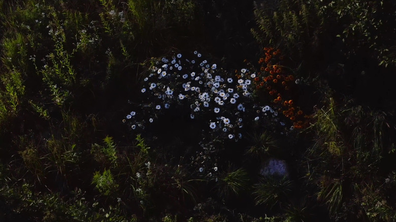 кадр из фильма Festin boréal