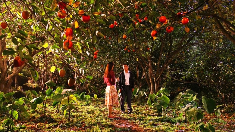 кадр из фильма 만남의 광장