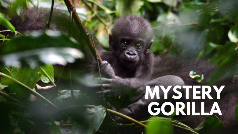 кадр из фильма Mystery Gorillas