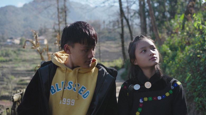 кадр из фильма Hani