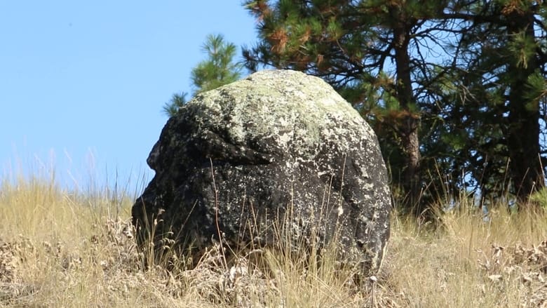 кадр из фильма Origins of consciousness