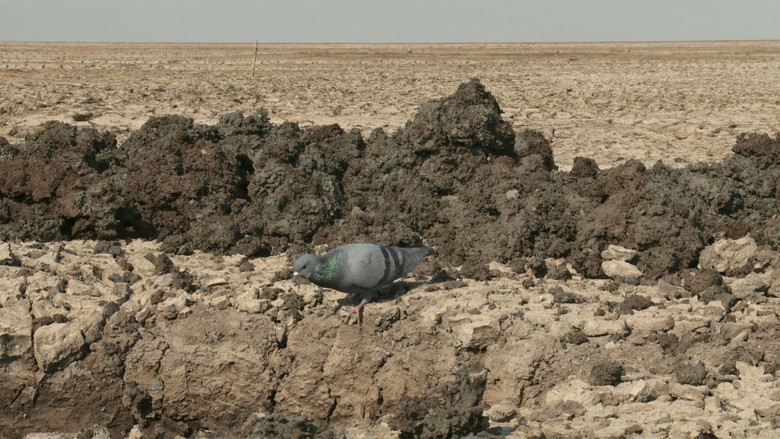 кадр из фильма My Name Is Salt