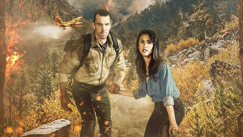 кадр из фильма Romance in the Wilds