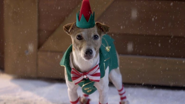 кадр из фильма Рождественская пятерка