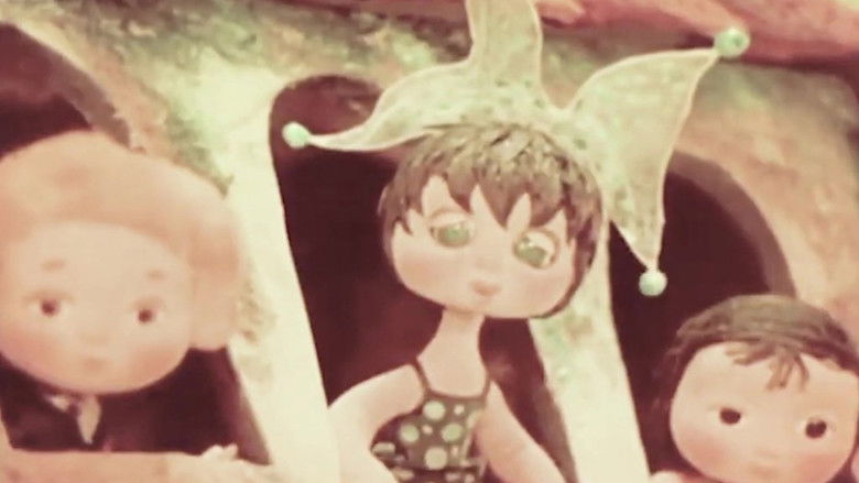 Бомбора начинает учиться