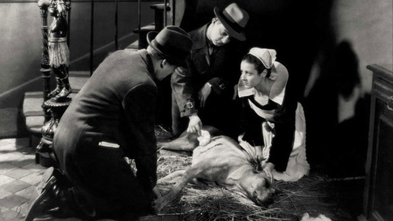 кадр из фильма Жёлтый пёс