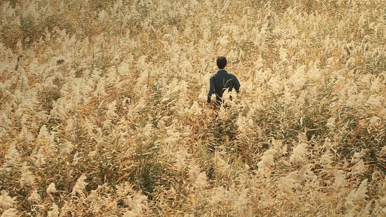 кадр из фильма Декодер. Игра гения