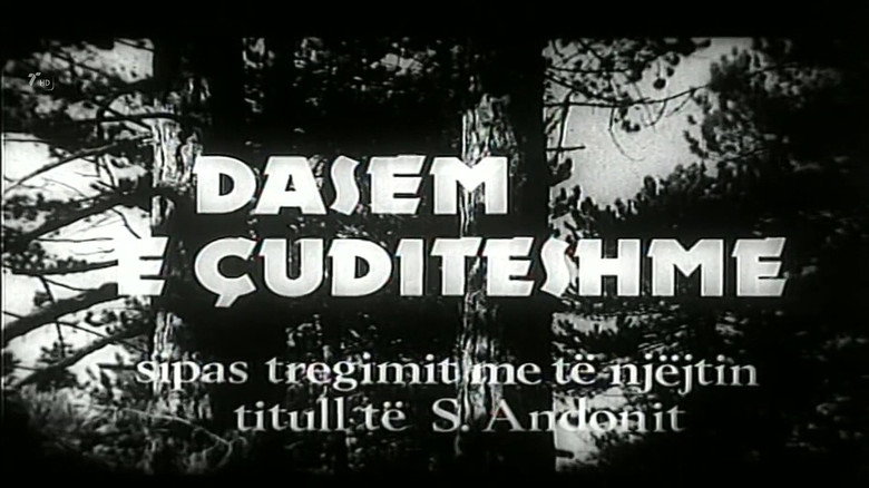 кадр из фильма Dasëm e çuditëshme