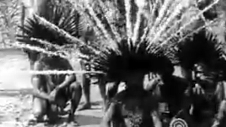 кадр из фильма Rituais e festas Borôro