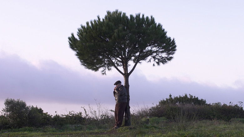 кадр из фильма Este Lugar