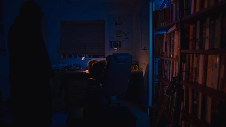 кадр из фильма Night For Day: Mosquitoes Don't Sleep