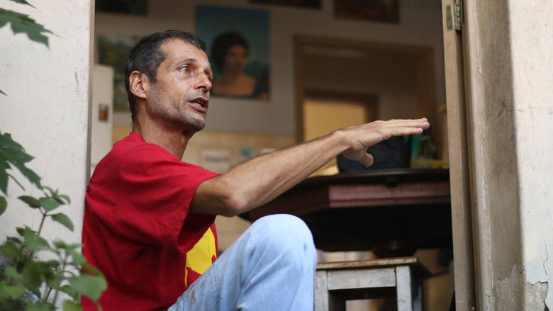 кадр из фильма Observar e Absorver