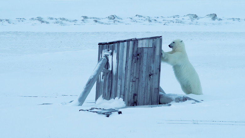 кадр из фильма Frost uten Snø og Is