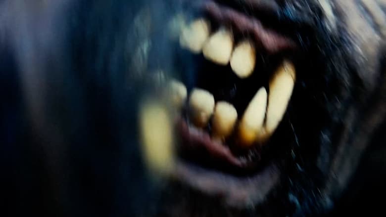 кадр из фильма Тахо Джо 2