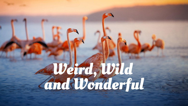 кадр из фильма Weird, Wild, and Wonderful