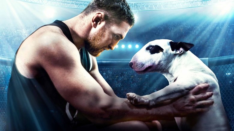 кадр из фильма Бультерьер