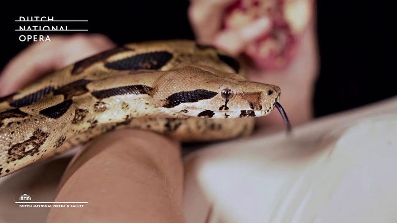 кадр из фильма Rudi Stephan: Die ersten Menschen