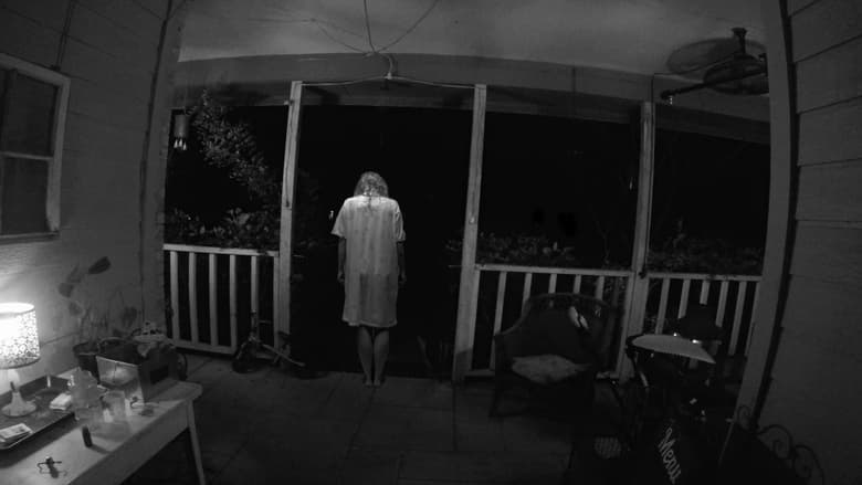 кадр из фильма Unknown Visitor