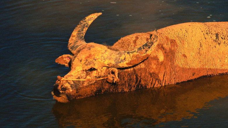 кадр из фильма 大湾区之肋