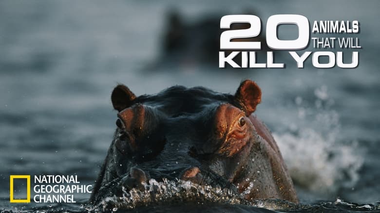 кадр из фильма 20 Animals That Will Kill You