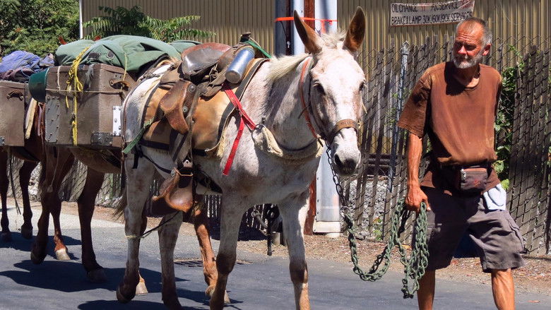 кадр из фильма Call Me Mule