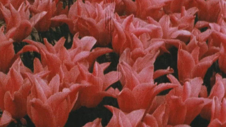 кадр из фильма Presents