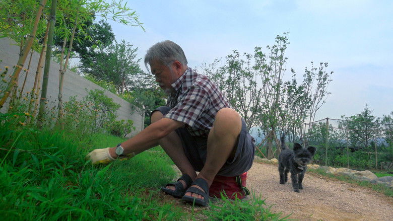 кадр из фильма 문재인입니다