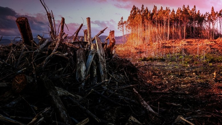 кадр из фильма Атлас будущей Земли