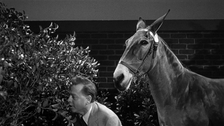 кадр из фильма Фрэнсис в доме с привидениями