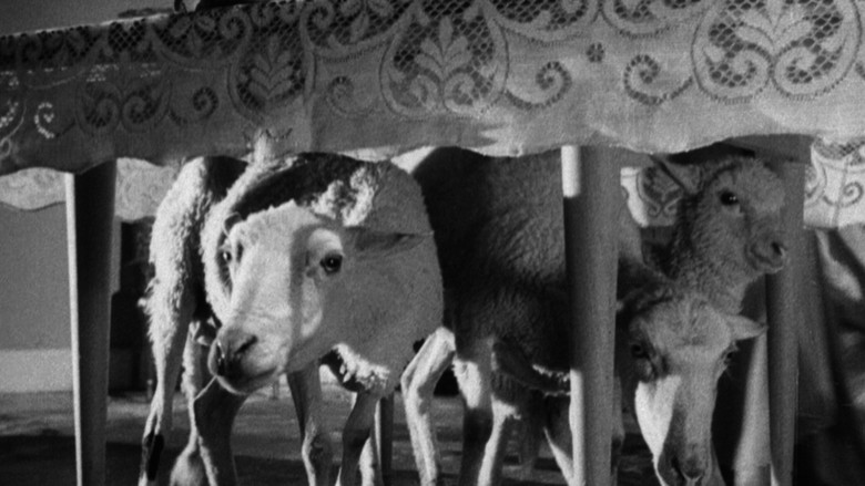 кадр из фильма Ангел-истребитель