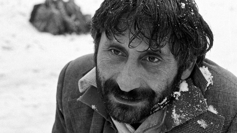 кадр из фильма Городок