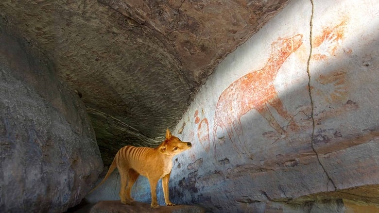 кадр из фильма Tiger on the Rocks