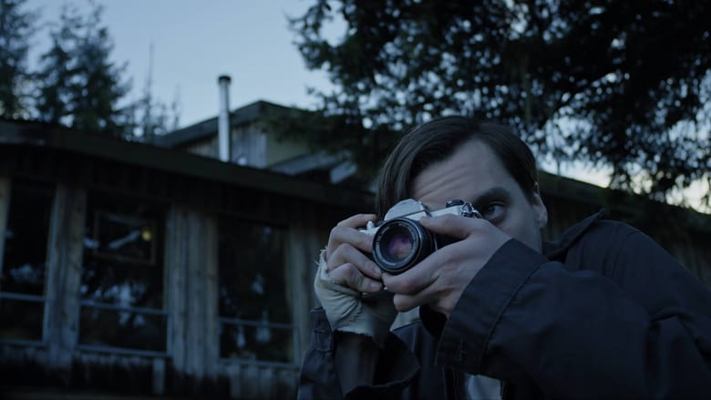 кадр из фильма Леса