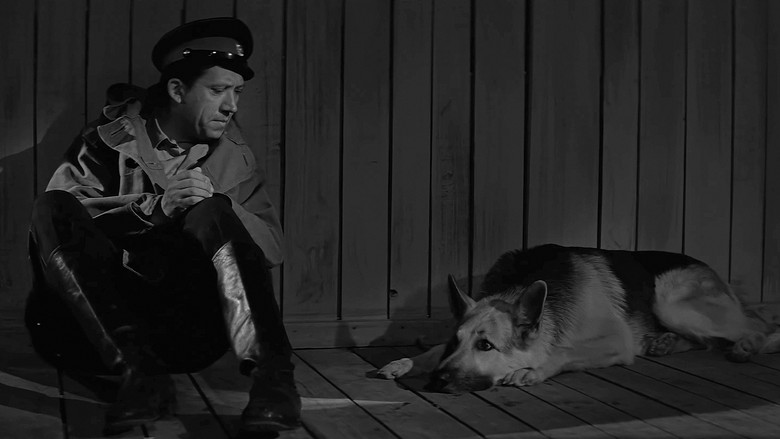 кадр из фильма Ко мне, Мухтар!