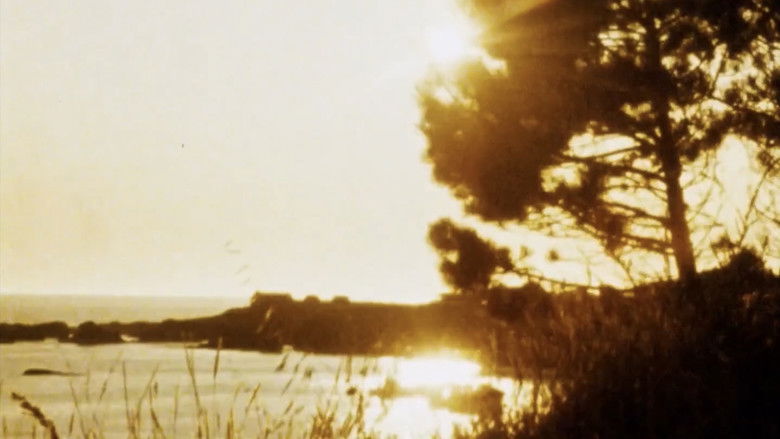 кадр из фильма Matter of Clarity