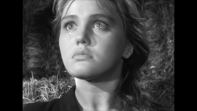 кадр из фильма Баллада о солдате