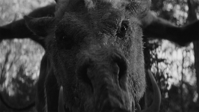 кадр из фильма Em & Selma Go Griffin Hunting