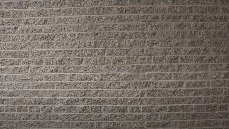 кадр из фильма B A C K R O O M S