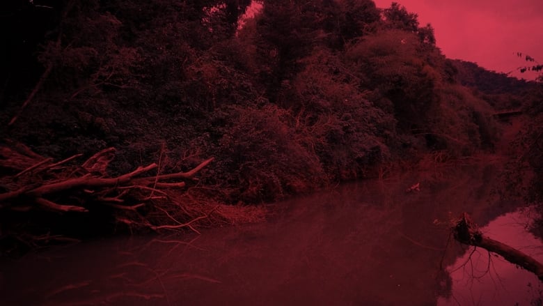 кадр из фильма Teko Haxy - ser imperfeita